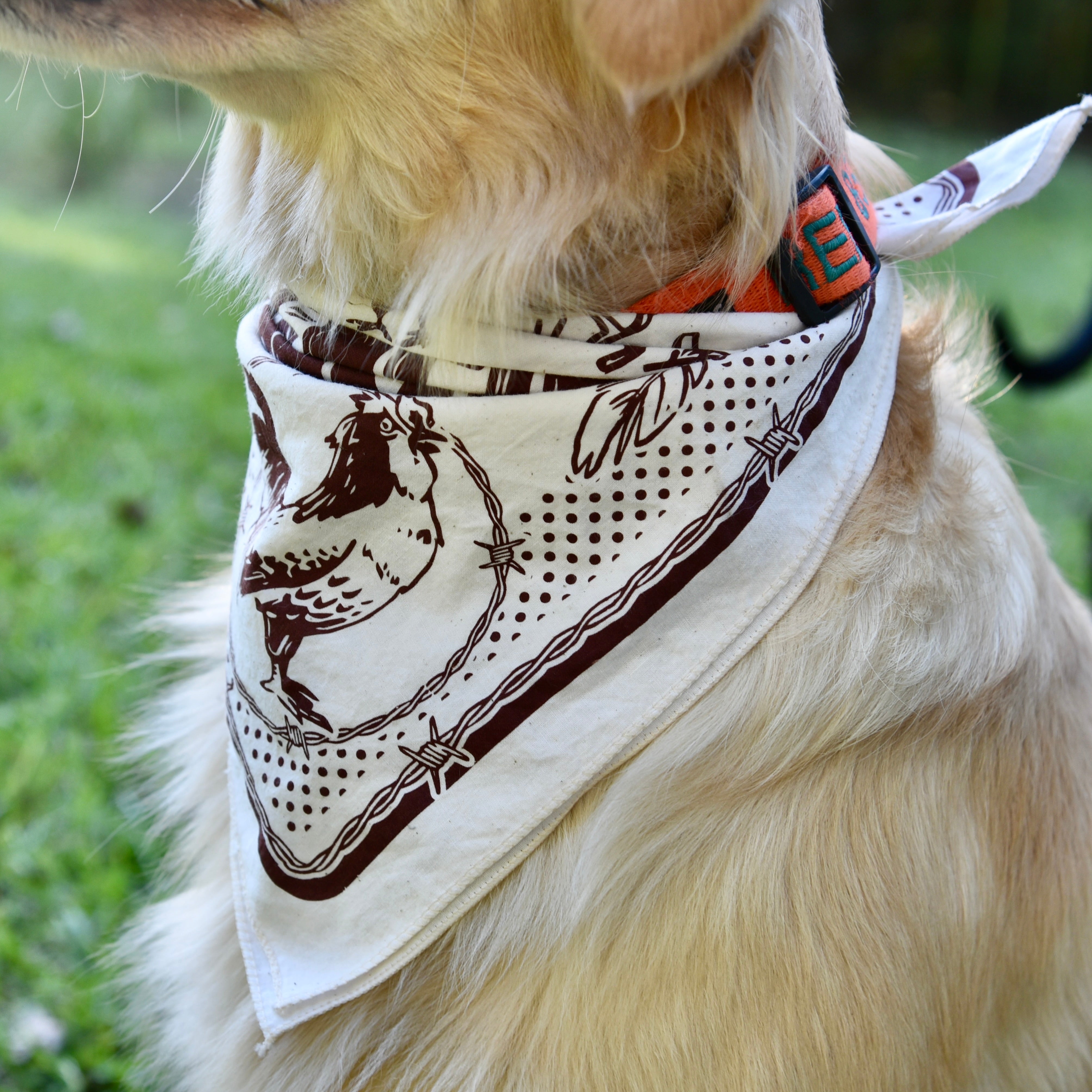 Greenfire Bandana