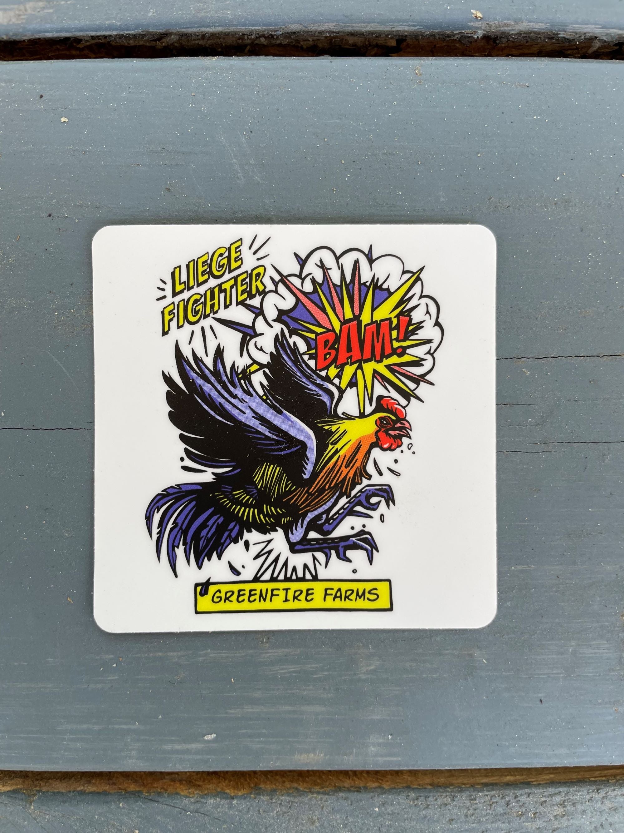 Liege Fighter Superhero Sticker