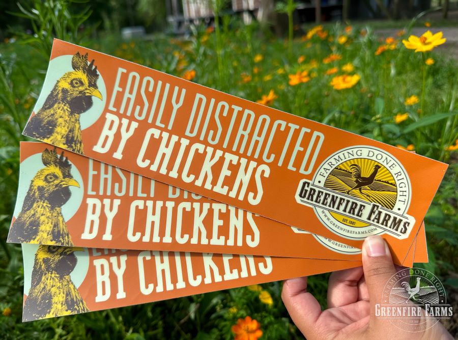Bumper Sticker