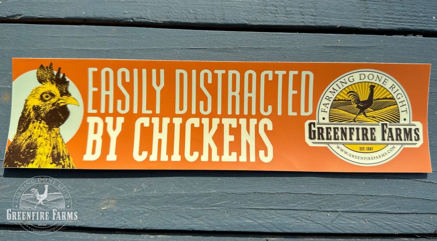 Bumper sticker