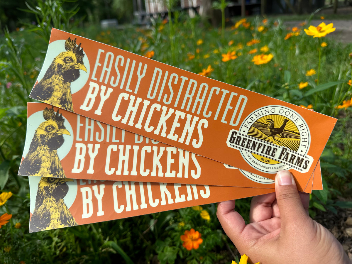 Bumper sticker