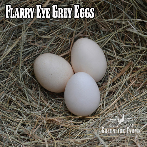 Gamefowl Assortment