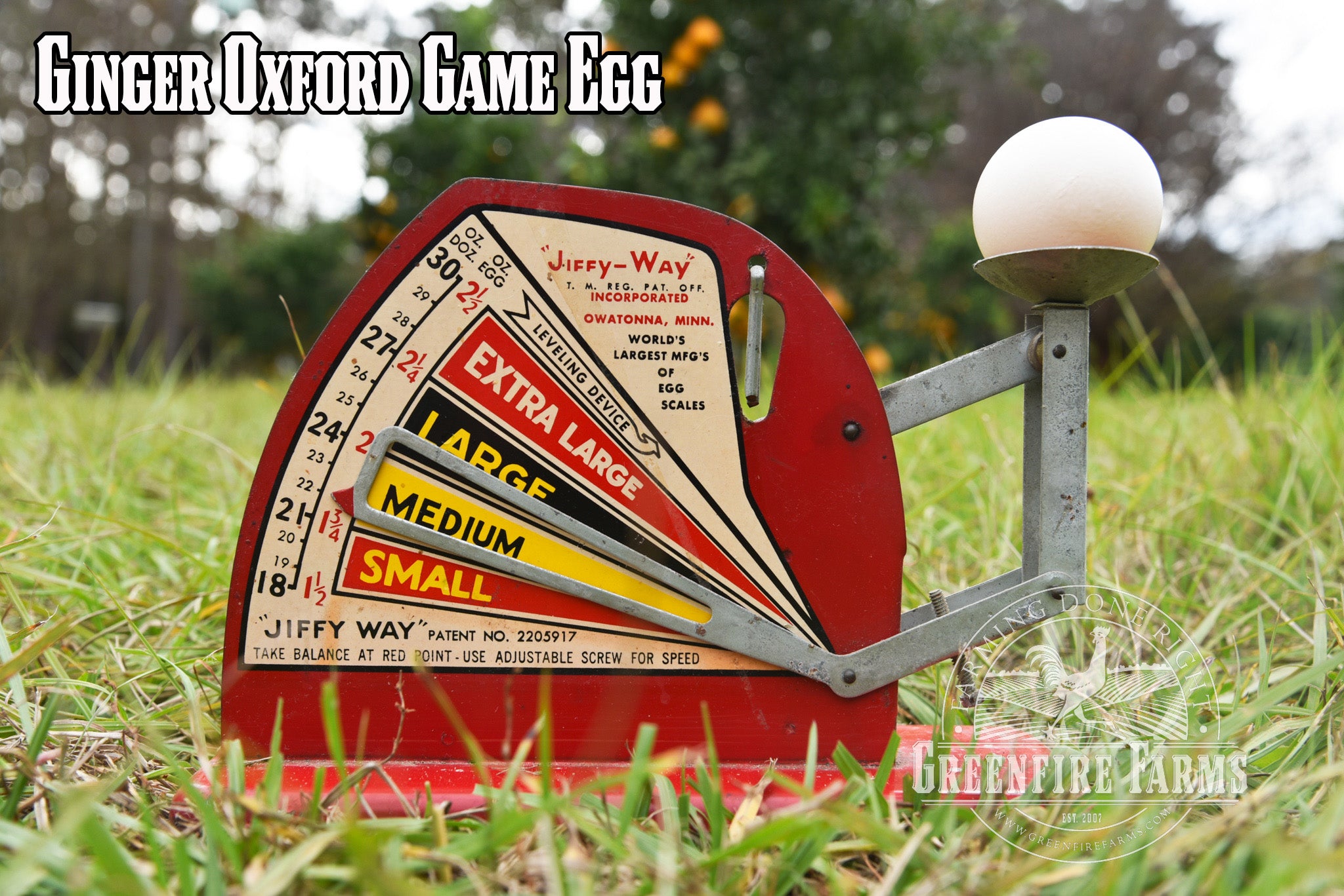 Gamefowl Assortment