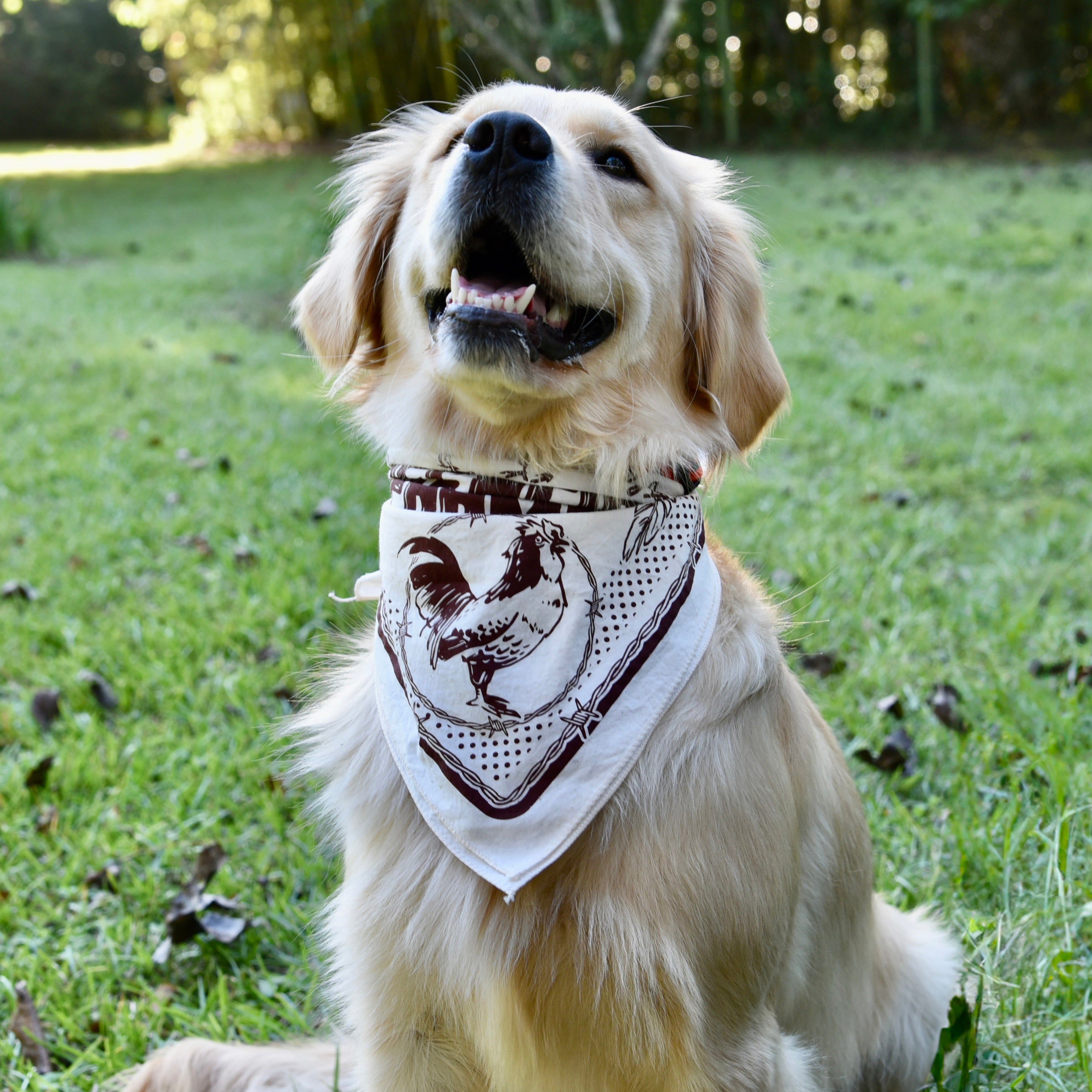 Greenfire Bandana