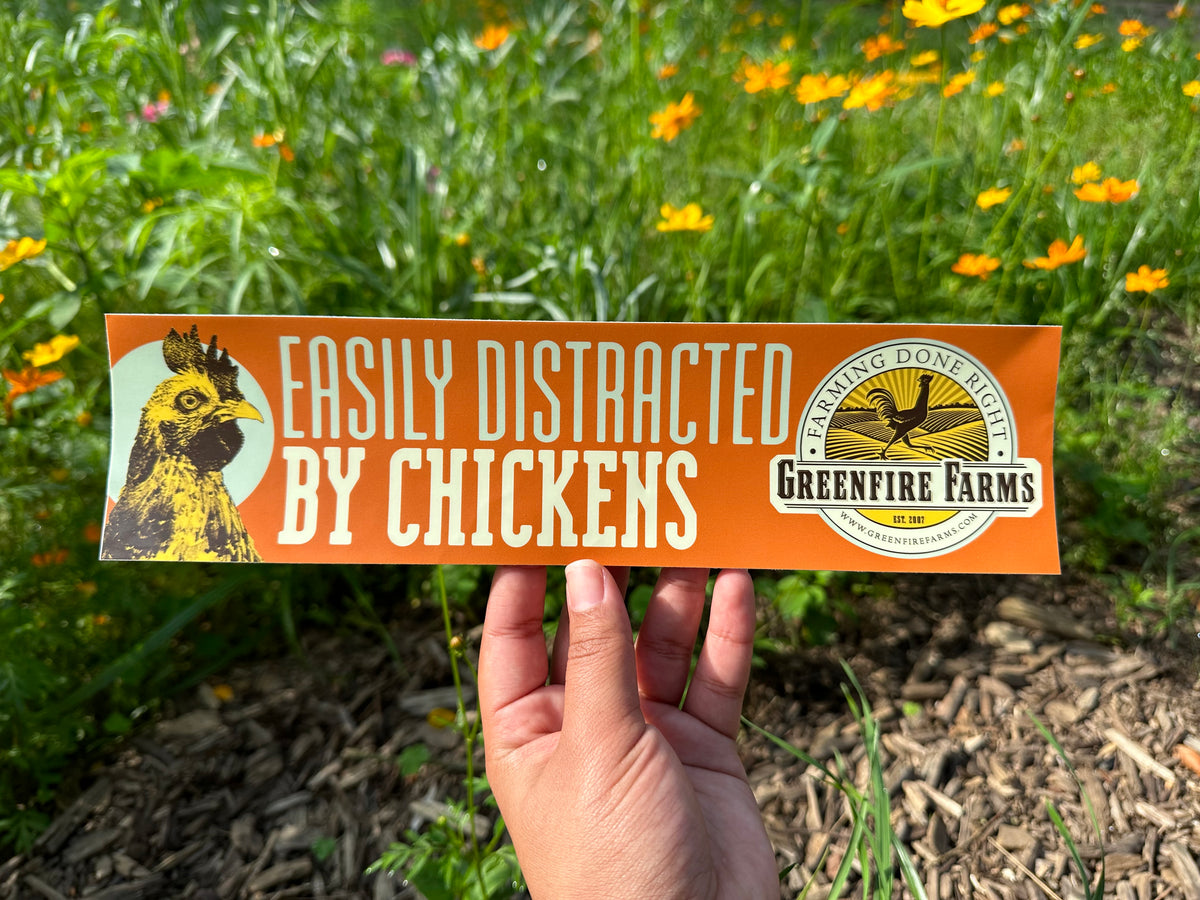 Bumper sticker