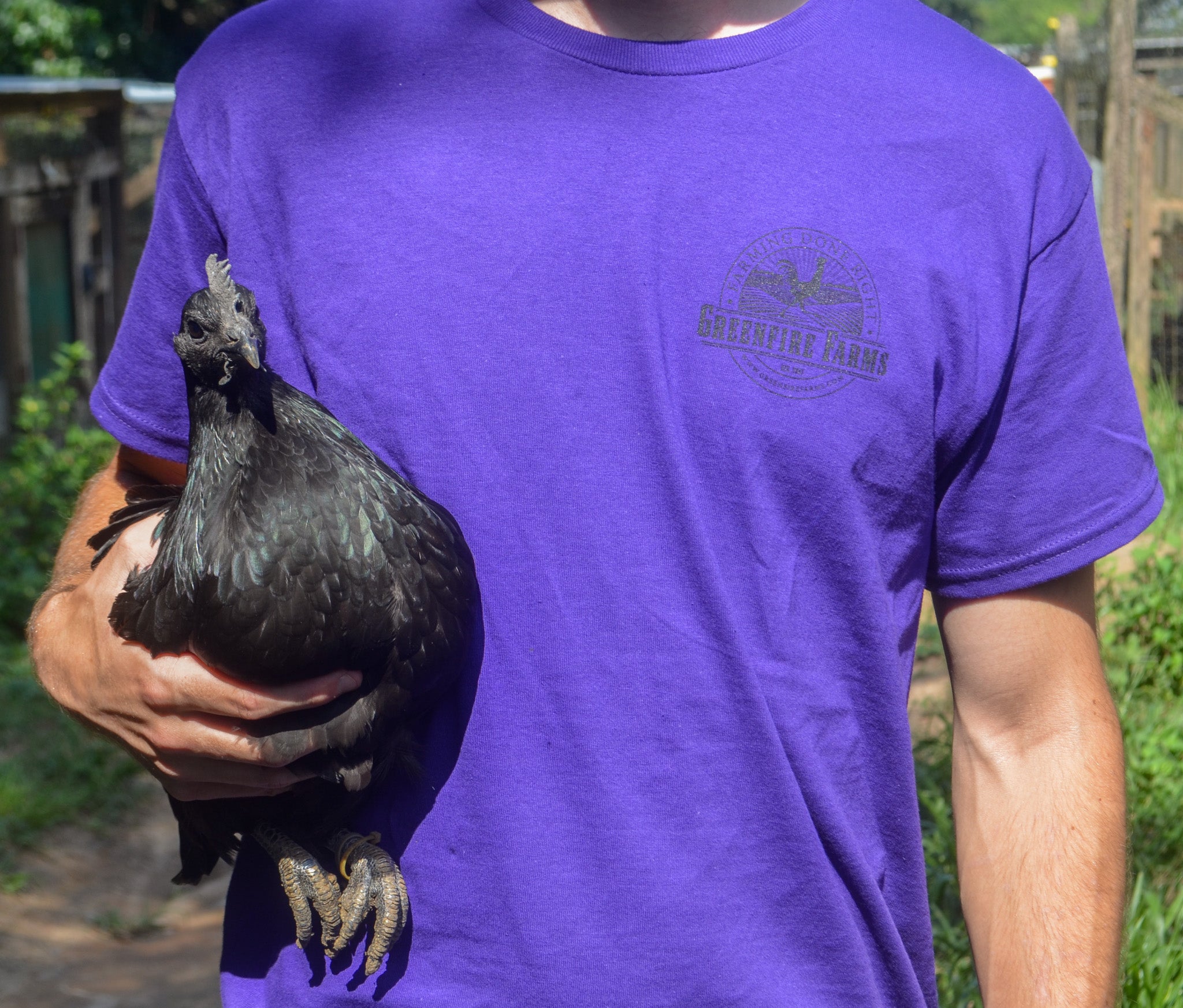 Ayam Cemani Shirt
