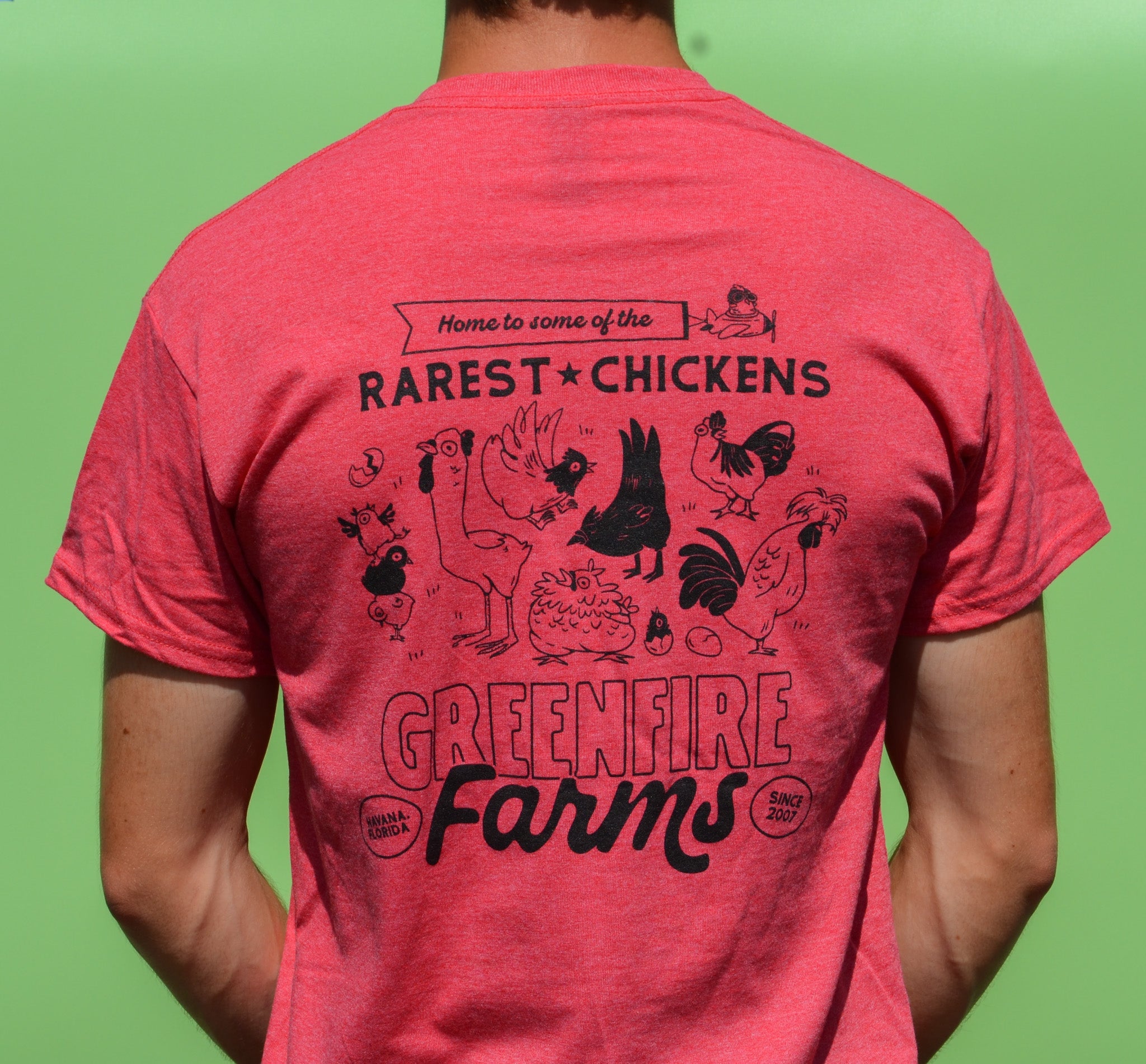 World's Rarest Chickens Shirt